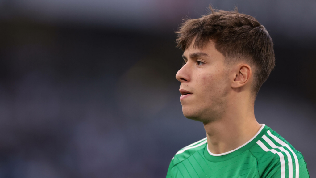 Panathinaikos full-back Giorgos Vagiannidis